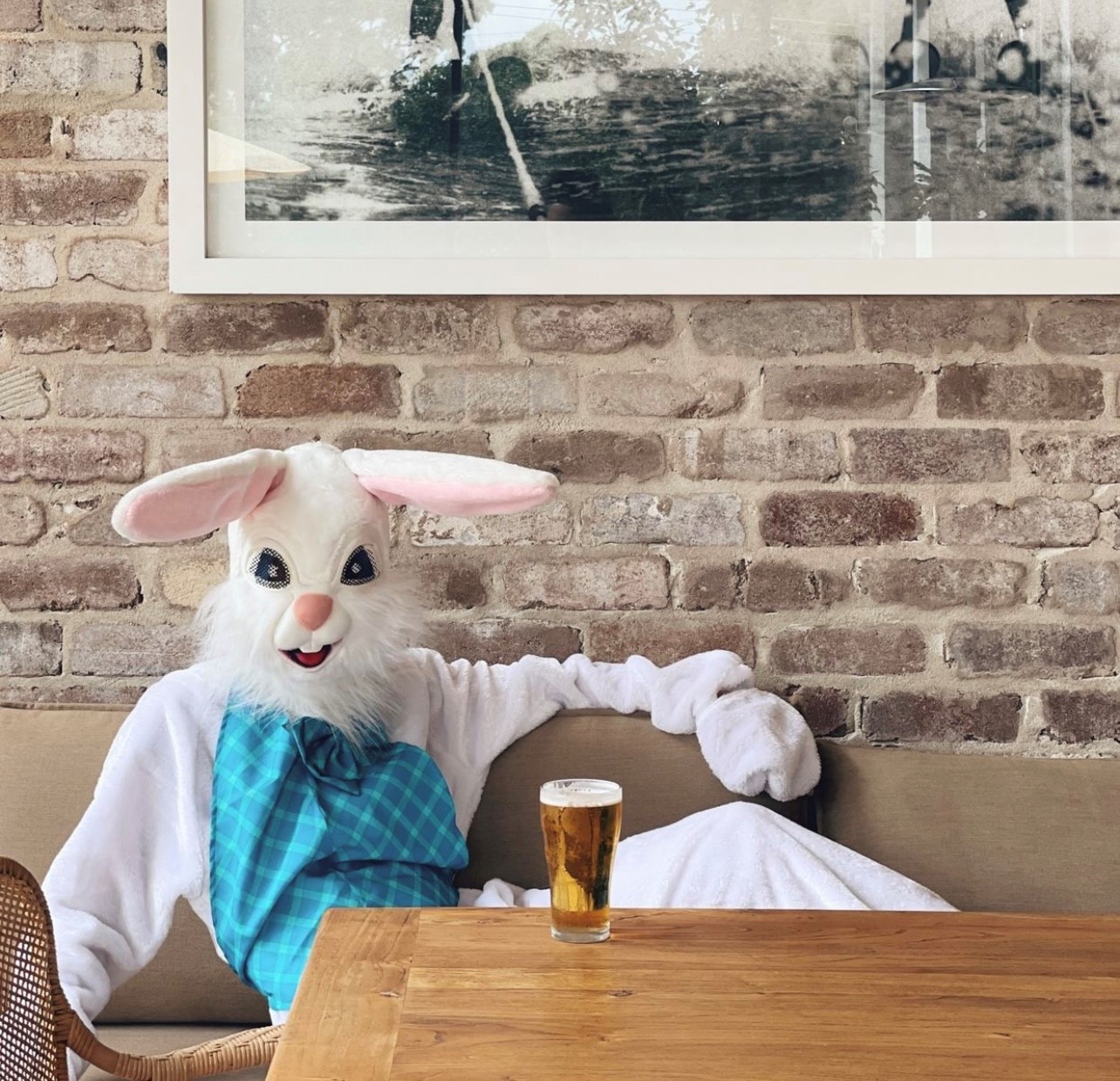 bunny hunny bunny hunny