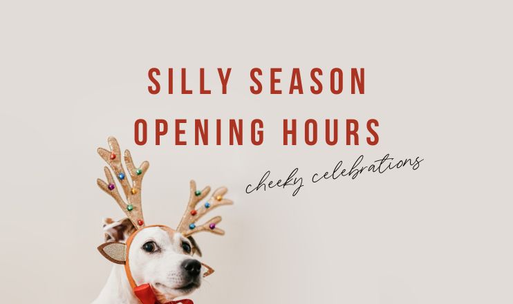 CD Opening Hours (742 x 440 px)