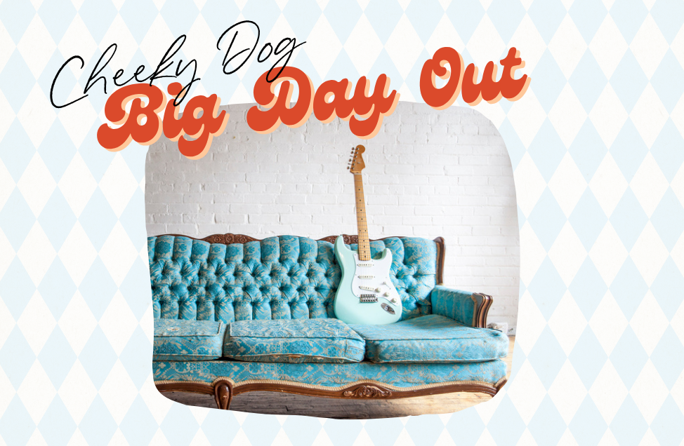 Cheeky Dog Big Day Out