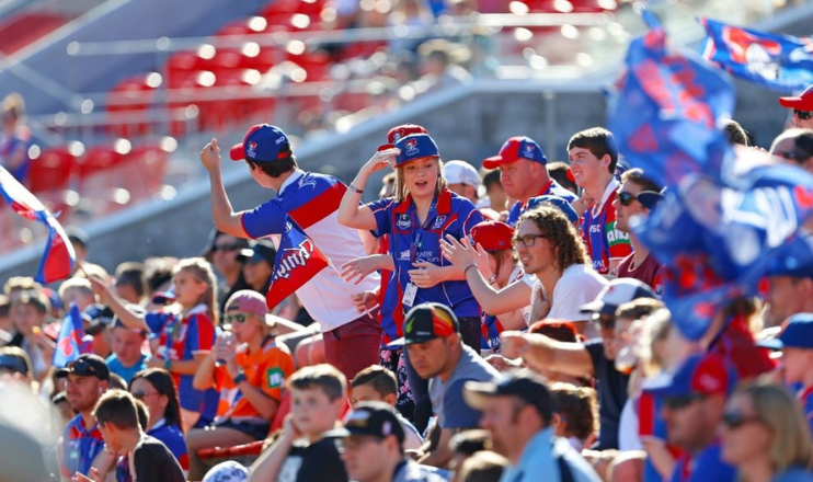 Cheeky Dog Website-Knights